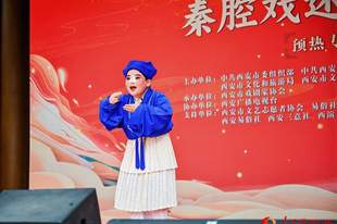 群众“开麦” 秦腔“声”动长街