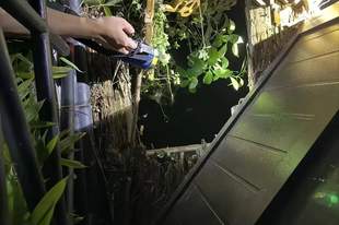广东15岁女孩凌晨结伴在一景区游玩，脚下木板裂开不幸落水溺亡，景区回应：该木板不在日常维修范围内，正在协商处理；警方已介入