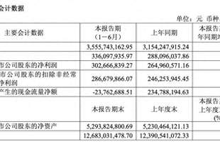 金盘科技上半年净利同比增14.23% 经营现金流由正转负