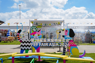 春秋旅游推出“春秋宠物派”，全链路服务解锁人宠同行旅行新方式