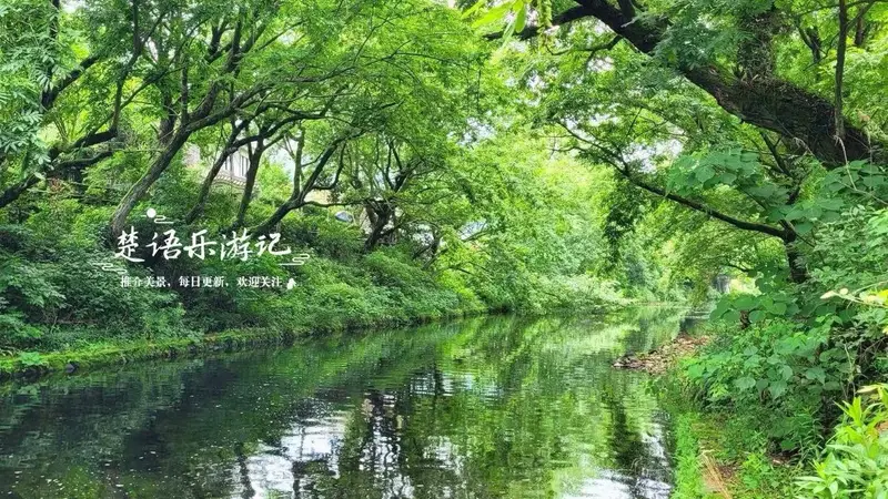 浙江宁波这片翠谷的风景太治愈了,清溪瀑布美如诗画,是玩水胜地
