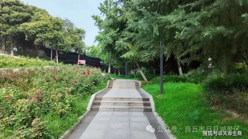 商丘日月湖:一抹青绿,万般清凉