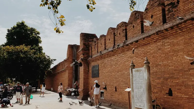 《中餐厅10》同款清迈美食清单，跟着吃不踩雷