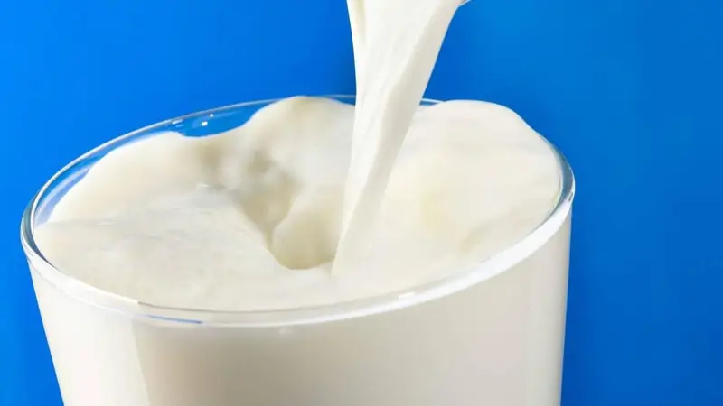 四闯IPO，百菲乳业难破水牛奶天花板