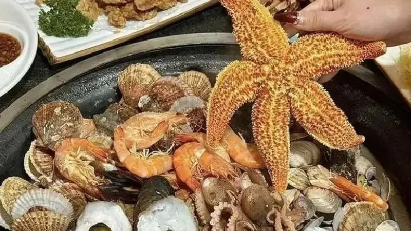 胶东半岛为什么会在今年夏天成为避暑胜地呢？