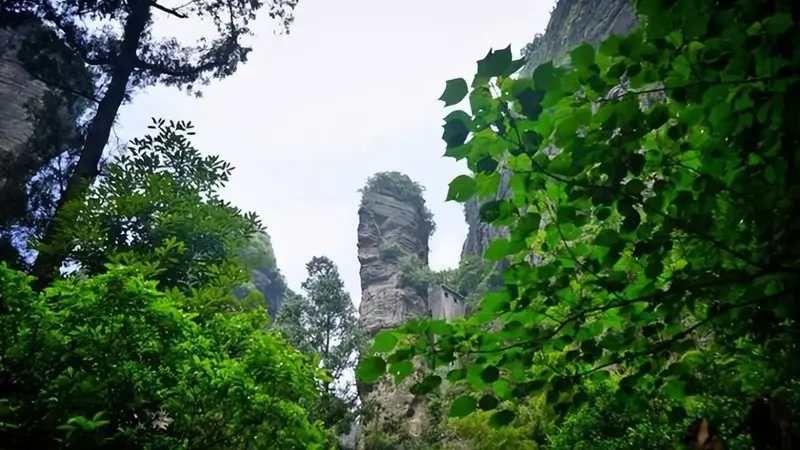 “雁荡山”到底在哪座城市？据说大多数人在3秒钟内都答不出来？