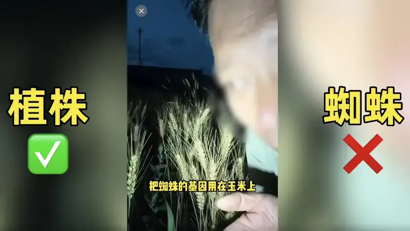 农业网红诋毁袁隆平成果，不能只封号就完事