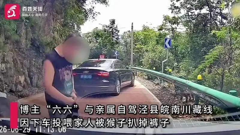游客自驾安徽皖南川藏线遇猴群，下车投喂小猴时被护崽心切的大猴扒掉其裤子，当地文旅局回应