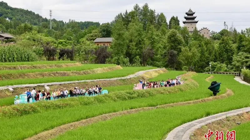 （乡村行·看振兴）耕读传家风 重庆古村以传统元素酿新变