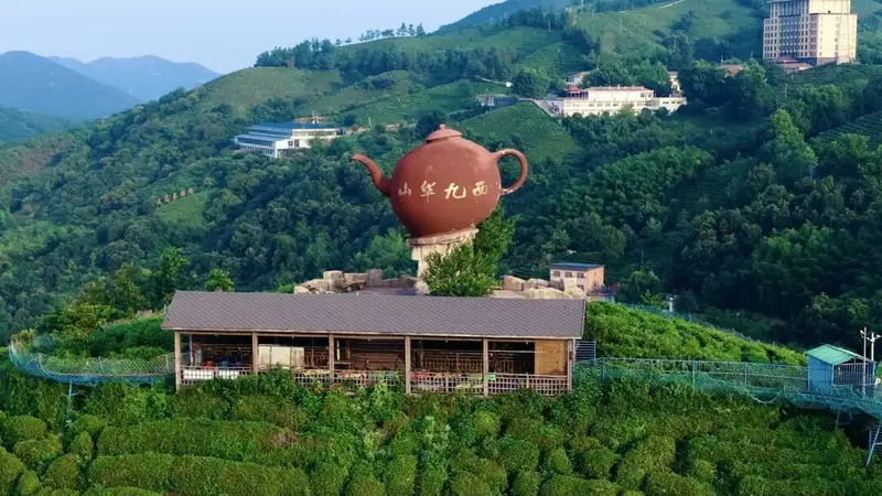 豫皖门户藏秘境，禅茶红韵陈淋子
