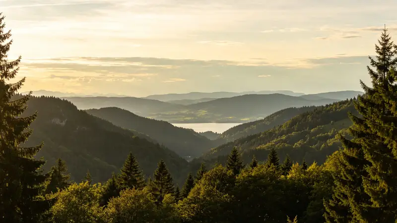 爱丁堡城堡山下，苏格兰羊杂布丁手工巧克力点心