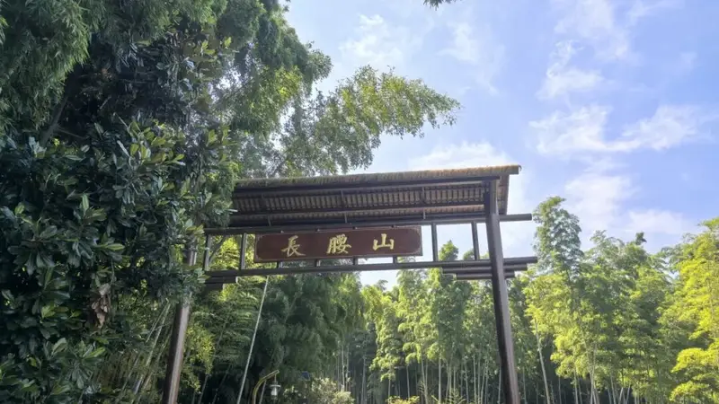 长腰山古桃园景观步道，焕新开放！