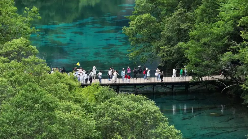 【热议】九寨沟湖水靠染色才呈现蓝色？官方辟谣并详解斑斓水色成因