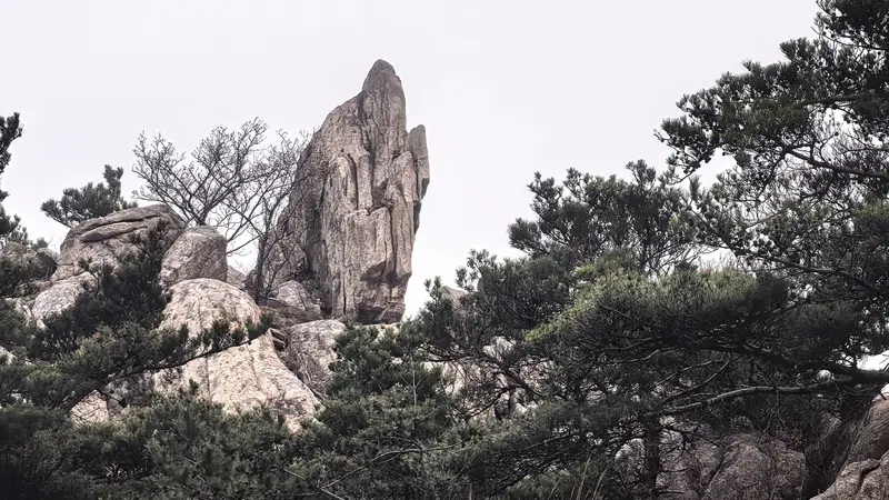 文旅新探|象形石:打开崂山的新方式
