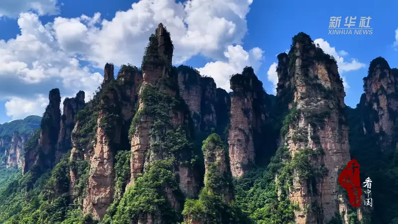 千城百县看中国｜湖南张家界：临溪避暑觅清幽