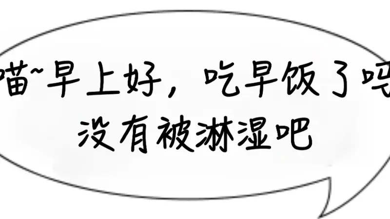 想要稳住体重?早餐不妨多吃鸡蛋!