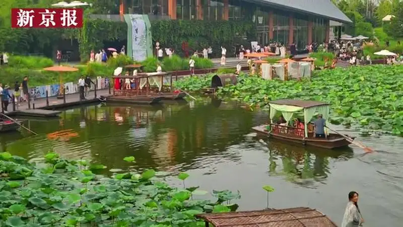 视频|荷间诗乐交织,点亮温榆河最美夏夜