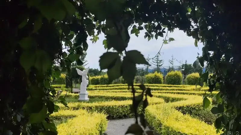 2026暑期盘锦凭啥成反向避暑黑马？三大方向这样选+FAQ