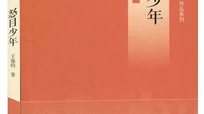 战火中的图书 | 林茶居