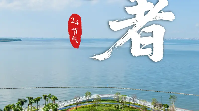 今日,处暑