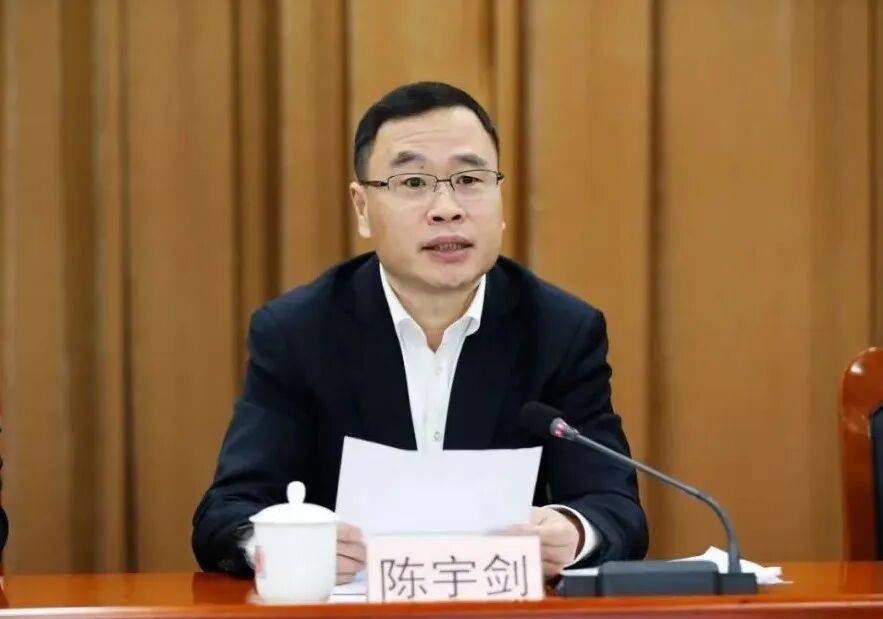 陈宇剑，被免职