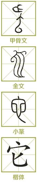 从“它”到“他”再到“她” 怎样一路走来