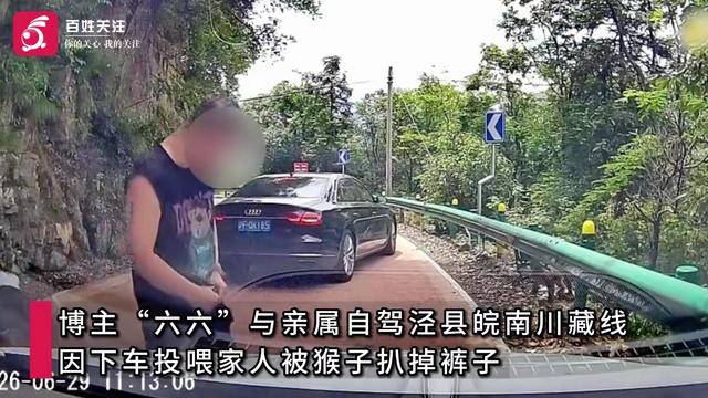 游客自驾安徽皖南川藏线遇猴群,下车投喂小猴时被护崽心切的大猴扒掉其裤子,当地文旅局回应