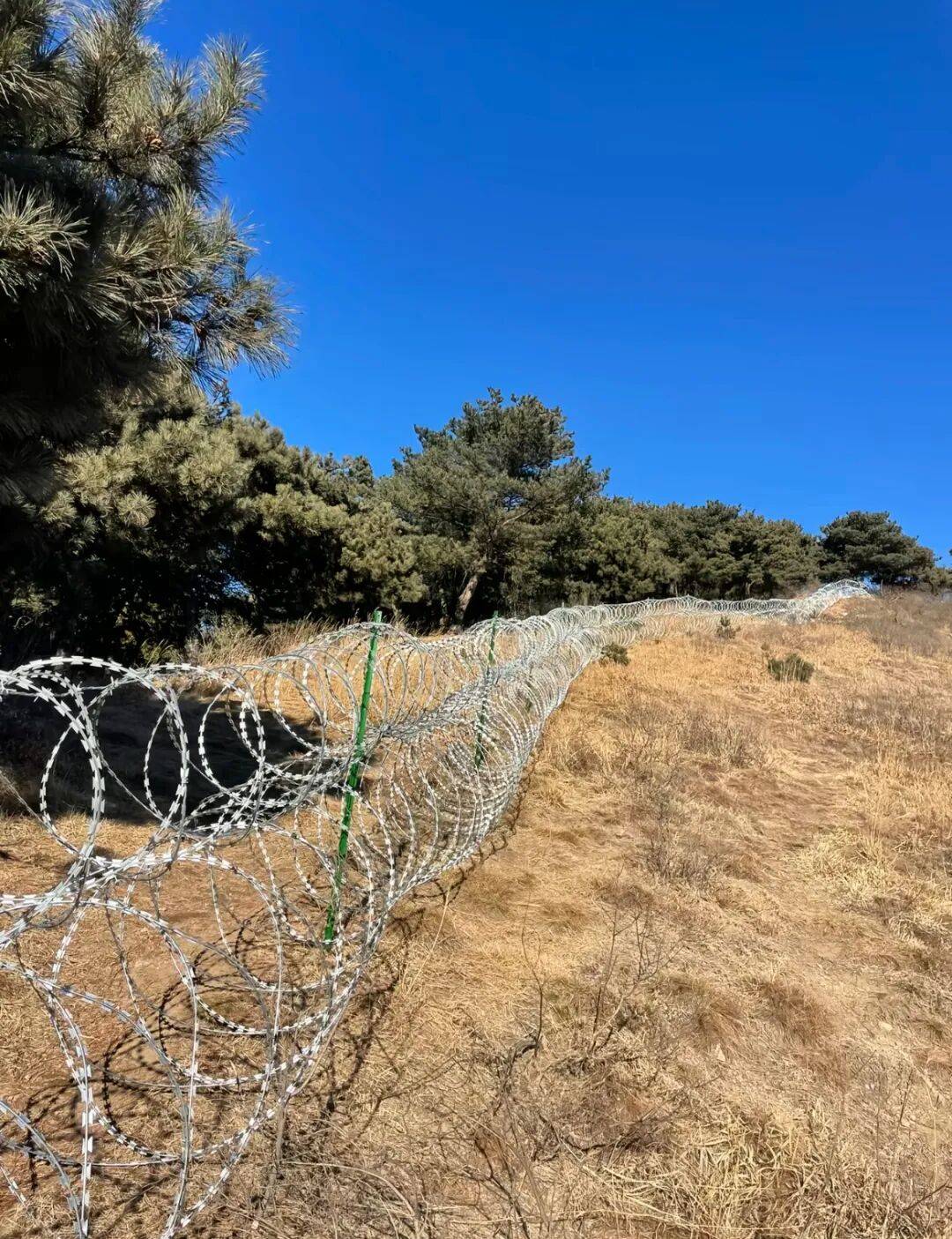 热搜第一!泰山建“刀片隔离网”引争议
