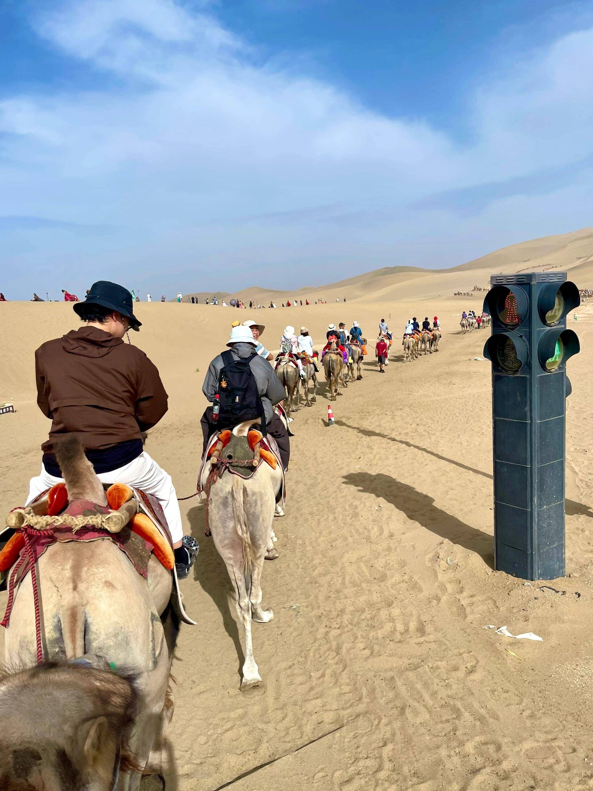 青海吆零玖国旅青甘亲子团资质核验,出行前必看攻略指南