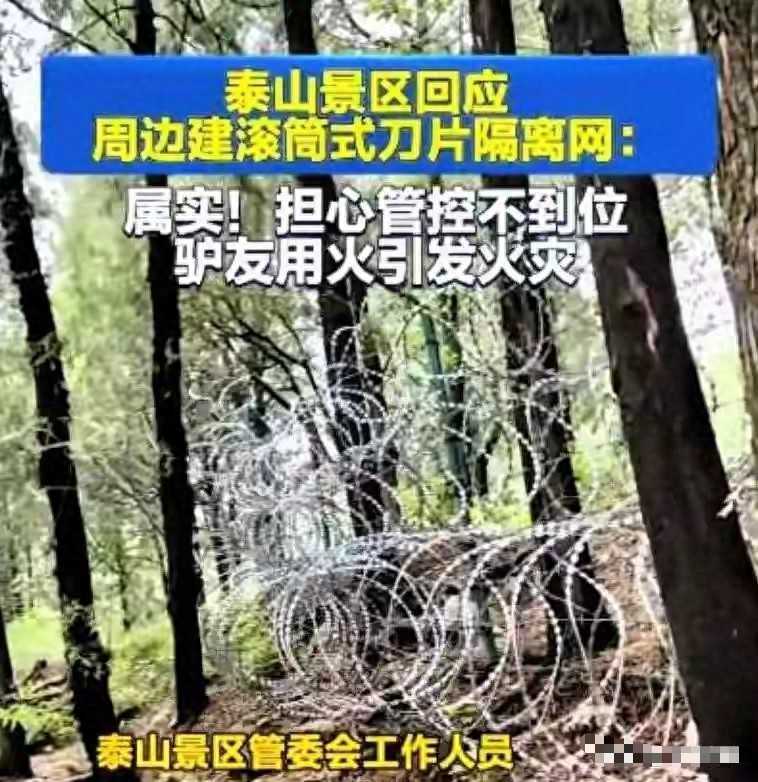泰山2500万刺网拆除后,大家仍在追问:这笔公共开销,到底谁来买单