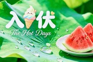 明日入伏，三伏天清淡祛湿一日三餐食谱，舒舒服服过夏天！