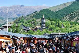 中国文化报报道五台山 | 在五台山,游客服务中心的一天会做些什么?
