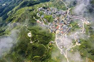 厦门爆火！当市区热成“火炉”，这座海拔千米的高山村却只有28℃