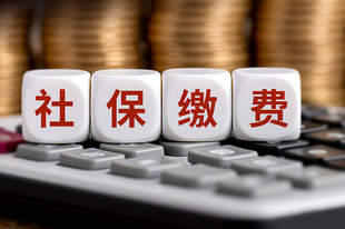多地严查社保实缴,也要考虑企业承受力