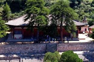 为了保护TA,忻州特地将一条在建高速改道……