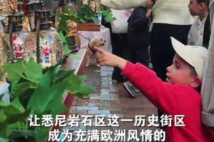 来悉尼体验“七月圣诞节”
