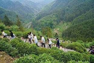 沿着“古道”去旅行 激活沉睡历史遗存