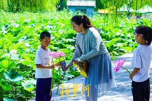 盛夏赏荷正当时,大明湖畔“荷花经济”悄然走红