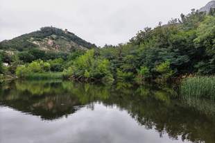 恢复游览!雨后小珠山“小飞瀑“惊艳登场!