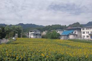 栾川山居:伏牛深处的半日闲