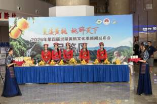 “炎陵黄桃 桃醉天下” ,2026年第四届炎陵黄桃文化季即将启幕!