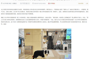 女子商场遛狗不拴绳惊扰他人被打耳光?少数人爱好不能凌驾多数人的感受