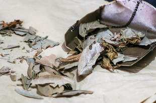 浙江寻凉记:伏天草木藏清凉!一起解锁“浙”些消暑凉茶