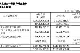 千亿龙头中报业绩暴增三倍！603256：终止6亿元电子布项目