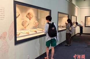 文博空间成中国民众暑期“精神凉方”