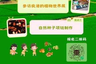 古城奇遇记｜在五千年良渚，制作大地种子信物
