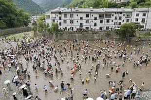 城口河鱼乡第十届农耕消夏康养季燃动夏日“凉经济”