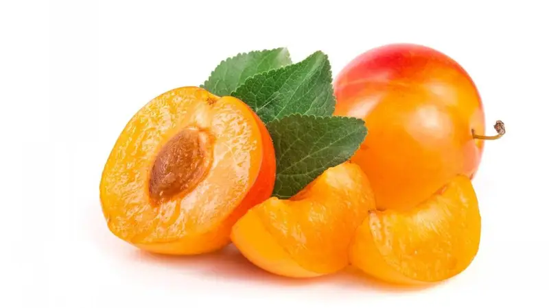 夏季适量吃李子有哪些好处？