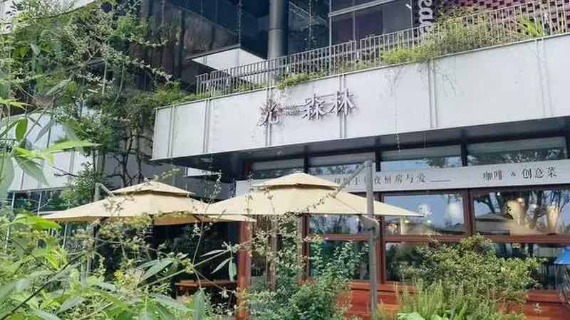 长沙夏日逃离城市酷暑，松雅湖森林咖啡馆攻略！