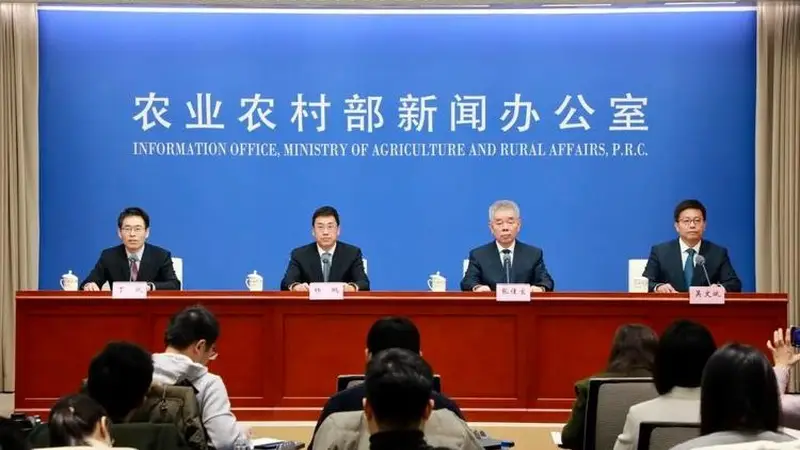 亩产5000斤,曾撑起中国4亿人口粮的红薯,为啥成不了中国主食?